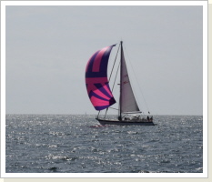 ... unter Spinnaker