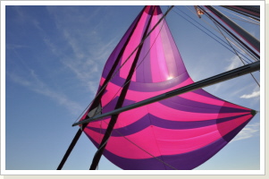 neuer Spinnaker 2019